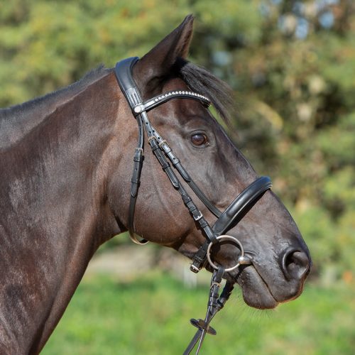 BRIDLES & ACCESSORIES