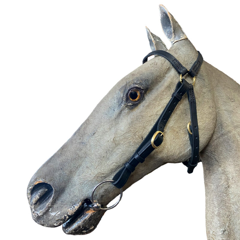 Bridle Polocrosse Barcoo