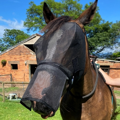 FLY MASKS