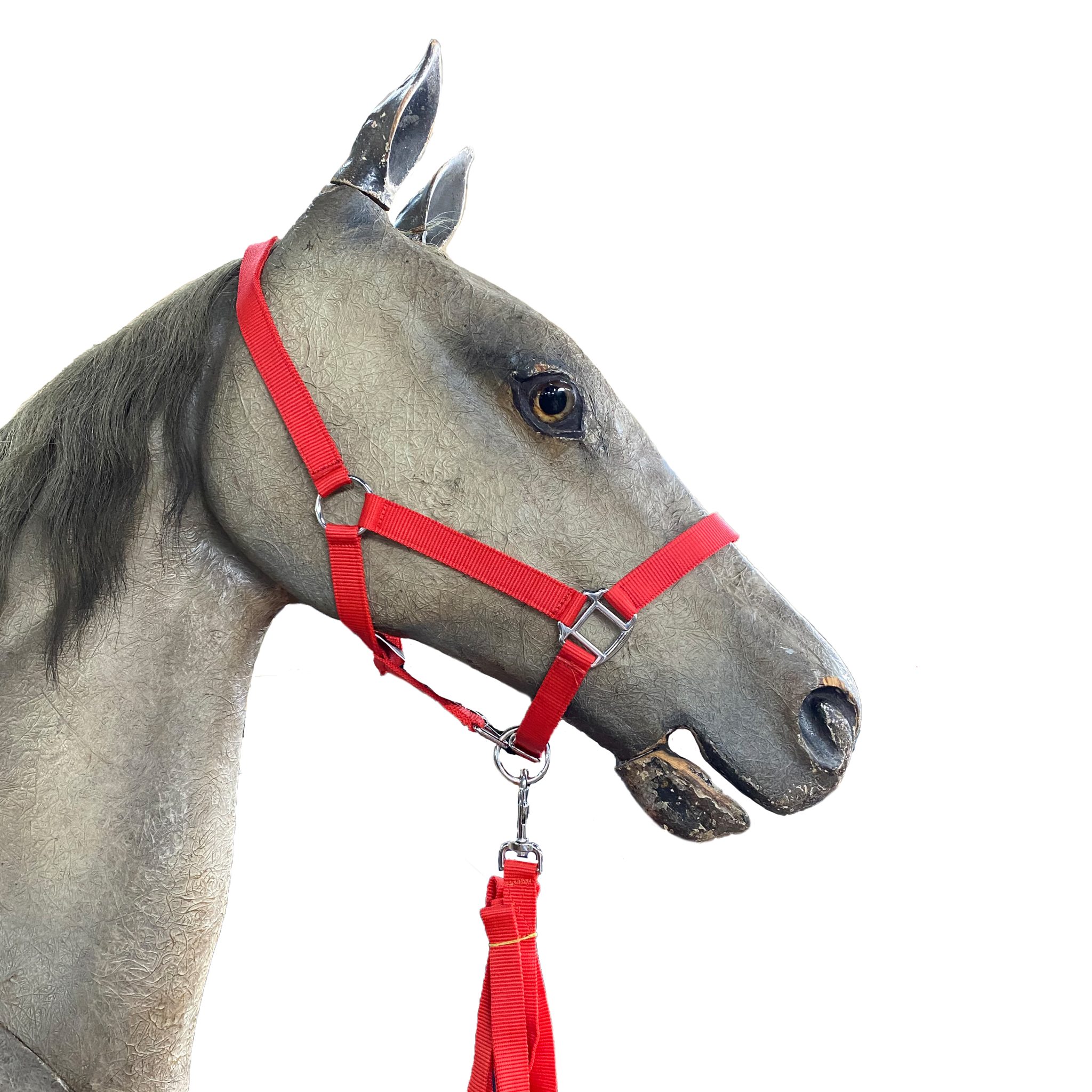 HALTERS - Allisons Saddlery - Widest Range of Equestrian Products