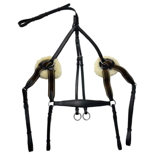 Breastplate Indiana 5 Point