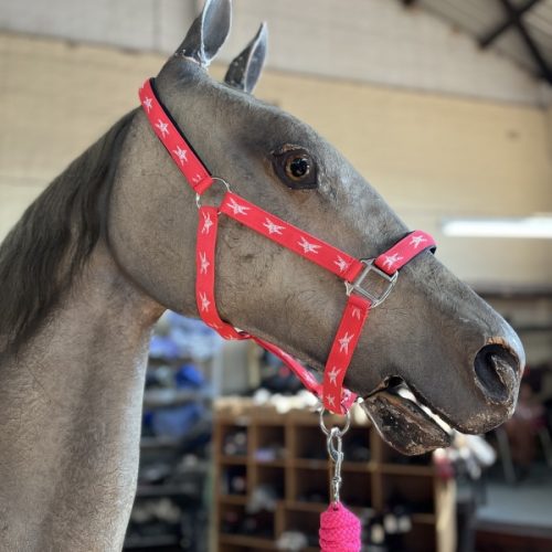 Head Collar Lucky Star + Lead