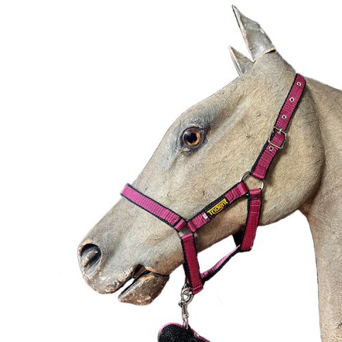 Head Collar + Lead Dual