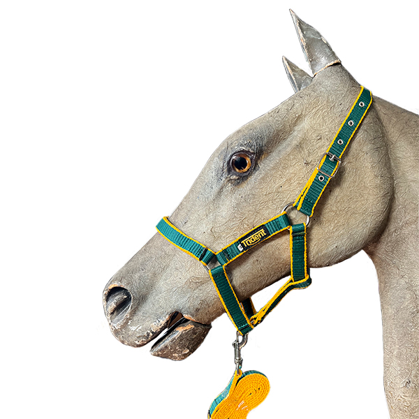 Head Collar + Lead Dual - Image 2