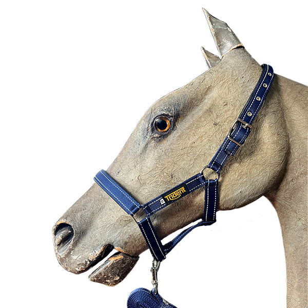 Head Collar + Lead Orion - Image 3