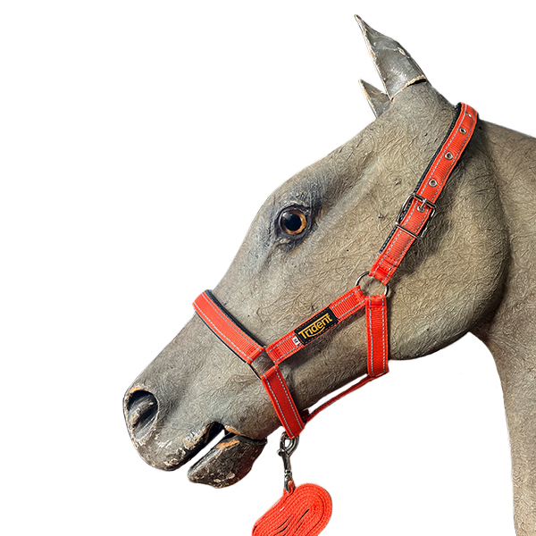 Head Collar + Lead Orion - Image 2