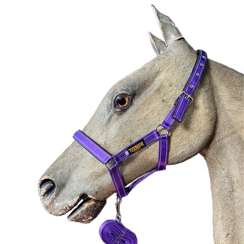 Head Collar + Lead Orion