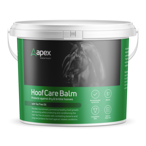 Apex Hoof Care Balm 2.5kg